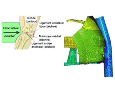 Biom&eacute;canique
